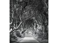 Vlies fotótapéta Forevenue 250 cm x 280 cm
