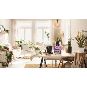 Lechuza Orchidpon ültetőközeg (3L) orchideákhoz, lakószobai környezetben.