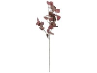 Flower Power eukaliptusz ág művirág 72 cm barna