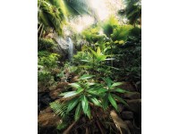 Komar vlies fotótapéta Spirit 200 cm x 250 cm