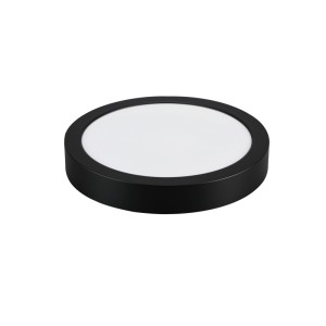 Rábalux Shaun Plus kültéri mennyezeti lámpa fekete LED 24W 4000K IP44