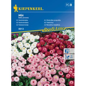 Kiepenkerl Bellis perennis Mix, egy csomag mag színes százszorszépekhez.