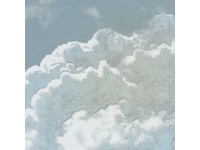 Komar fátyoltapéta Vintage Clouds 250 cm x 250 cm kék