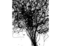 Komar fotótapéta gyapjú Curls 200 cm x 250 cm
