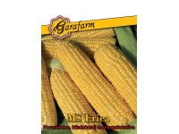 Csemegekukorica vetőmag normálédes Csemegekukorica vetőmag normálédes