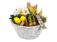 Korai virágválogatás Fehér kosárban cserépátmérő kb. 24 cm