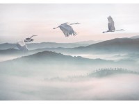 Komar vlies fotótapéta Mystic Cranes 400 cm x 280 cm Komar vlies fotótapéta Mystic Cranes 400 cm x 280 cm