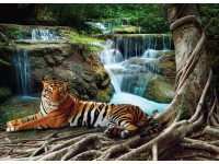 Fotótapéta tigris vízeséssel 160 cm x 110 cm
