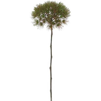 Dekor édesköményág nagy 62 cm barna-zöld