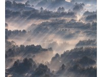 Komar vlies fotótapéta Rays 300 cm x 250 cm