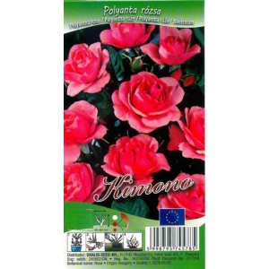 Polyantha rózsa 'Kimono' csomagolása rózsaszín virágokkal.