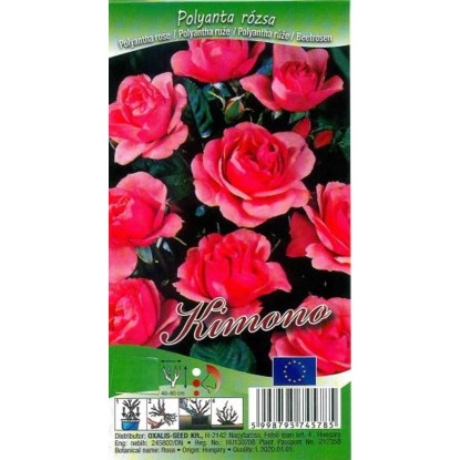 Rózsa Polyantha (Rosa)