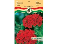 Égőszerelem piros vetőmag