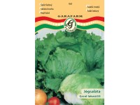 Jégsaláta Great Lakes vetőmag Jégsaláta Great Lakes vetőmag