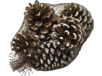 Dekor fenyőtoboz fehér csúcsokkal 5 db Dekor fenyőtoboz fehér csúcsokkal 5 db