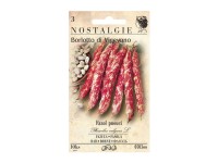 Közönséges bab kúszó karósbab Közönséges bab kúszó karósbab