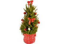 Cukorsüvegfenyő dekorral kb. 20,5 cm-es cserépben Cukorsüvegfenyő dekorral kb. 20,5 cm-es cserépben