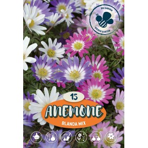 Anemone Blanda Mix: Többszínű virághagymák a kertbe.
