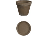 Mica Decorations Stan cserép kaspóval 11,5 cm x 13,5 cm szürke