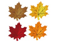 Juharlevél tányéralátét színes 39 cm x 41 cm többféle változatban Juharlevél tányéralátét színes 39 cm x 41 cm többféle változatban