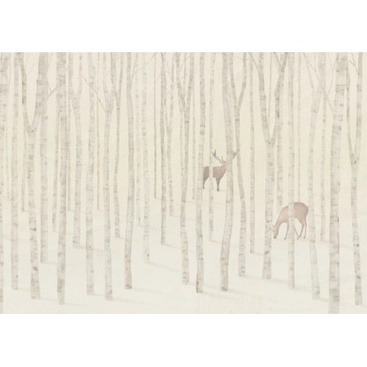 Komar Québec vliestapéta 350 cm x 250 cm