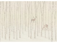 Komar Québec vliestapéta 350 cm x 250 cm