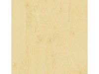 D-c-fix Birch öntapadós dekorfólia 90 cm - méteráru