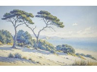 Komar Sandy Coast vliestapéta 400 cm x 250 cm
