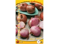 Salotta hagyma dughagyma 10 db