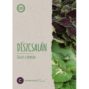 Coleus x hybridus mag csomag.