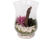 Zöldnövény kompozíció üveg kaspóban cserépátmérő: kb. 20 cm Zöldnövény kompozíció üveg kaspóban cserépátmérő: kb. 20 cm