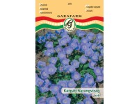 Kárpáti harangvirág kék vetőmag