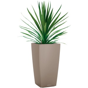 Lechuza Cubico Color virágtartó, 41 cm magas, homokbarna, zöld növénnyel.