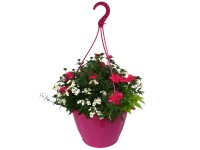 Megamaxx balkon ampolna 37 cm Megamaxx balkon ampolna 37 cm