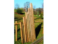 Karózó oszlop 5 cm x 150 cm