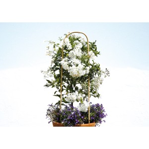 Floraworld növényív 2 részes készlet, 90 cm, bambuszból, virágzó növénnyel egy cserépben.
