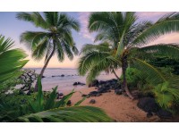 Vlies fotótapéta Hawaiian Dreams 450 cm x 280 cm