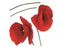 Crearreda Öntapadós Poppies dekoráció