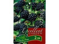 Gyökércsomagolt szeder bogyós gyümölcsű növény