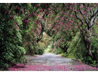 Komar fotótapéta Wicklow Park 368 cm x 254 cm FSC
