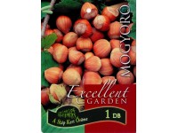 Mogyoró gyökércsomagolt Corylus avellana