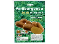 Vetőburgonya 50db / csomag