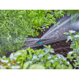 Gardena csíkfúvóka működés közben: Hosszúkás kertrészek öntözése finom permettel.