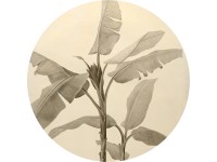 Komar nemszőtt fotótapéta Dot Banana Plant öntapadó átmérő 125 cm