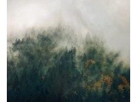 Komar vlies fotótapéta Tales of the Carpathians 300 cm x 250 cm