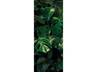 Komar nemszőtt fotótapéta Tropical Wall Panel 100 cm x 250 cm 100 cm x 250 cm Komar nemszőtt fotótapéta Tropical Wall Panel 100 cm x 250 cm 100 cm x 250 cm