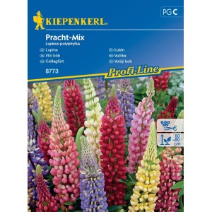 Kiepenkerl Virágmagok Pracht-Mix: Csillagfürtök különböző színekben.