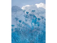 Komar nemszőtt fotótapéta Blue Sky 200 cm x 250 cm