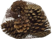 Dekor fenyőtoboz natúrszínű 5 db Dekor fenyőtoboz natúrszínű 5 db