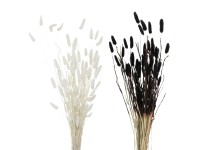 Boltze dekorág 2-féle változatban fehér-fekete